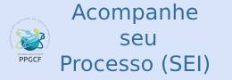 Acompanhamento SEI